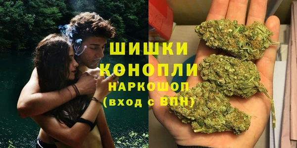молекула духа Волосово
