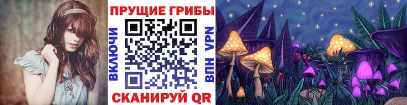 наркотики  Нижний Ломов  MEGA маркетплейс  Галлюциногенные грибы Psilocybe 